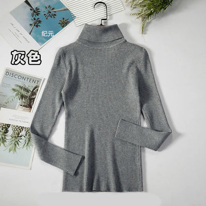 Bornladies Basic Turtleneck Women Sweaters Autumn Winter Tops