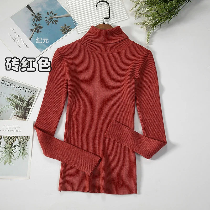 Bornladies Basic Turtleneck Women Sweaters Autumn Winter Tops