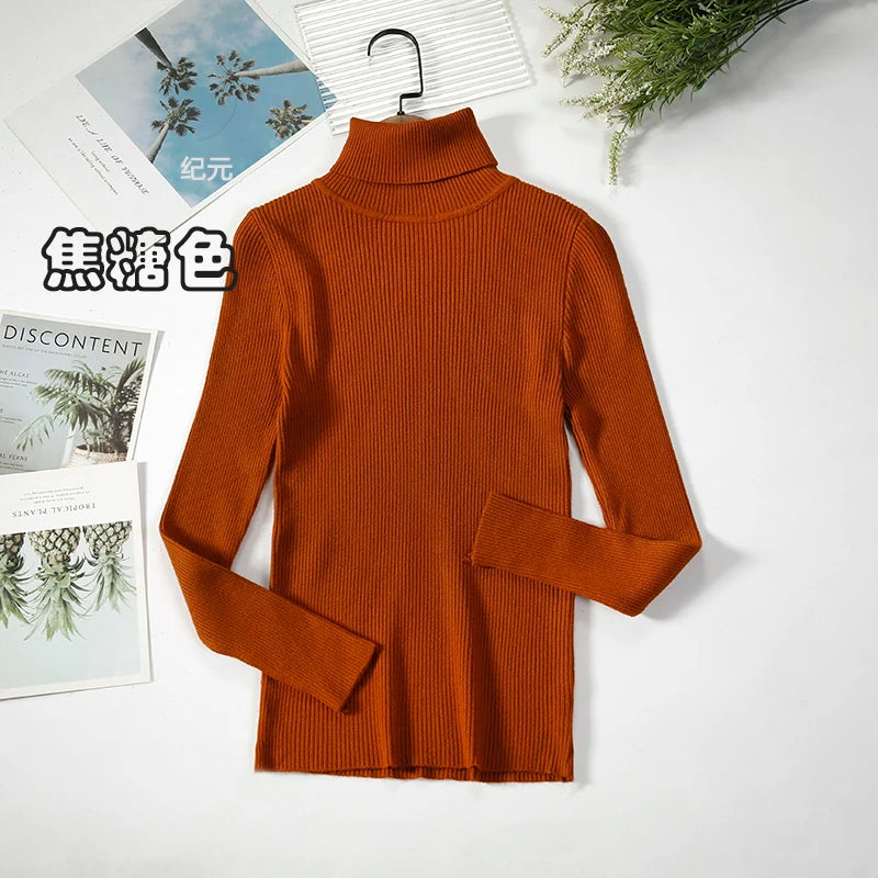 Bornladies Basic Turtleneck Women Sweaters Autumn Winter Tops