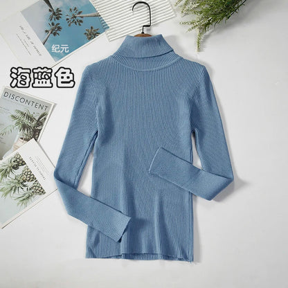 Bornladies Basic Turtleneck Women Sweaters Autumn Winter Tops