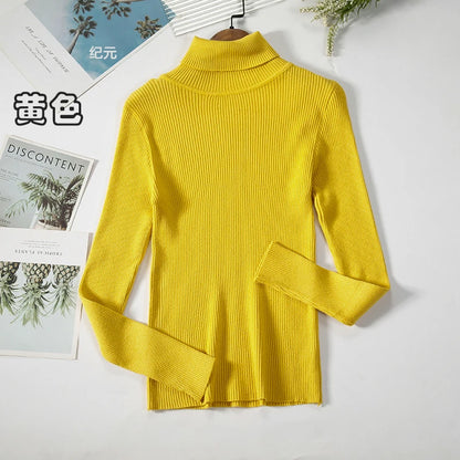 Bornladies Basic Turtleneck Women Sweaters Autumn Winter Tops