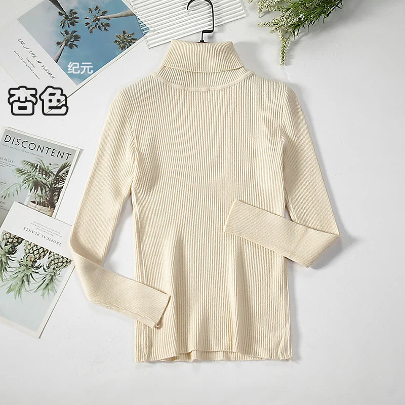 Bornladies Basic Turtleneck Women Sweaters Autumn Winter Tops