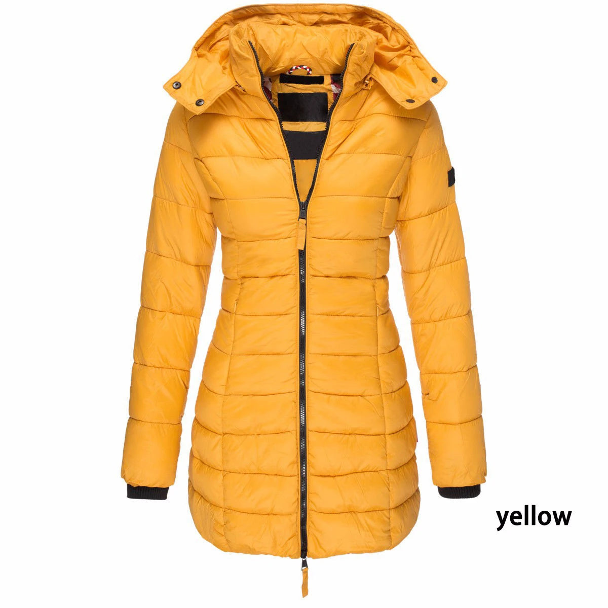 Winter Jackets for Women Zipper Hooded Cotton Padded Coat