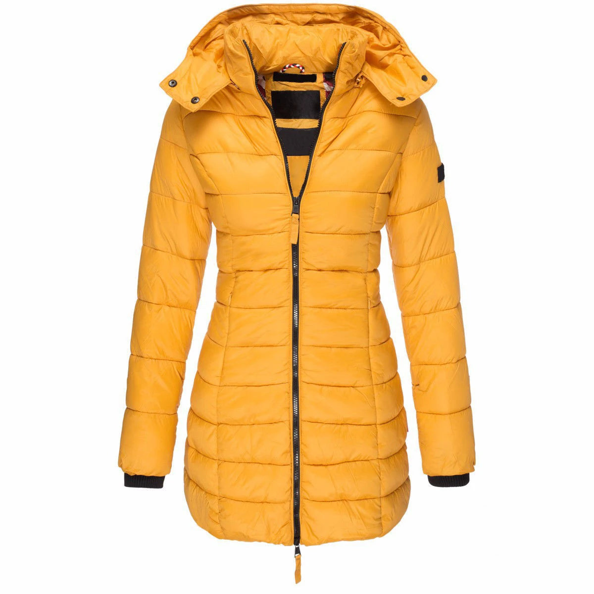 Winter Jackets for Women Zipper Hooded Cotton Padded Coat