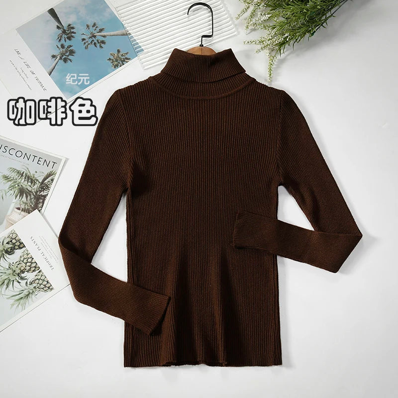 Bornladies Basic Turtleneck Women Sweaters Autumn Winter Tops