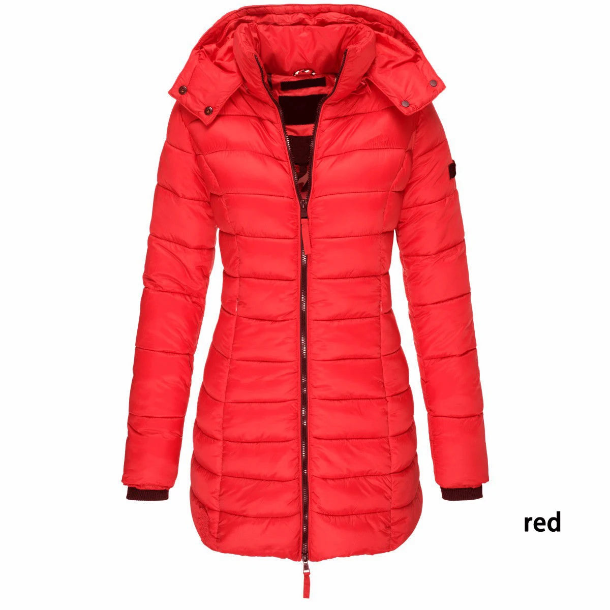 Winter Jackets for Women Zipper Hooded Cotton Padded Coat