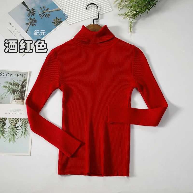 Bornladies Basic Turtleneck Women Sweaters Autumn Winter Tops