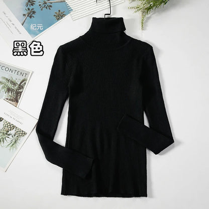 Bornladies Basic Turtleneck Women Sweaters Autumn Winter Tops