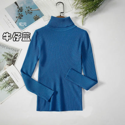 Bornladies Basic Turtleneck Women Sweaters Autumn Winter Tops