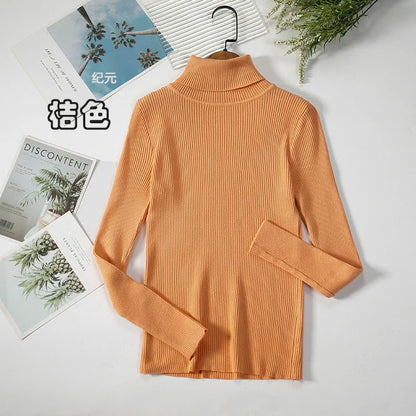 Bornladies Basic Turtleneck Women Sweaters Autumn Winter Tops