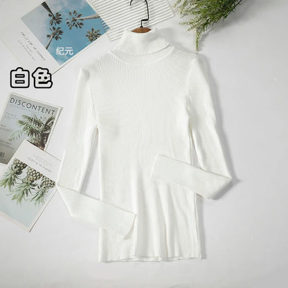 Bornladies Basic Turtleneck Women Sweaters Autumn Winter Tops