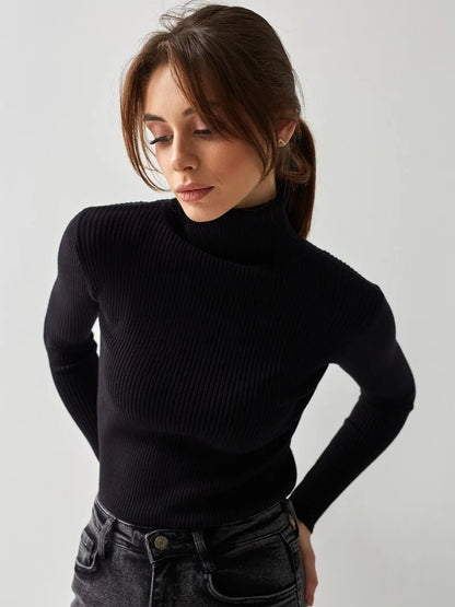 Bornladies Basic Turtleneck Women Sweaters Autumn Winter Tops