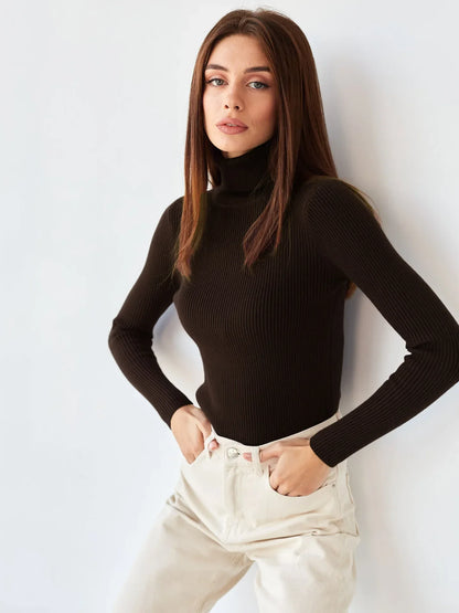 Bornladies Basic Turtleneck Women Sweaters Autumn Winter Tops