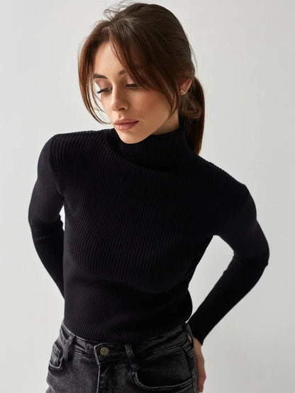 Bornladies Basic Turtleneck Women Sweaters Autumn Winter Tops