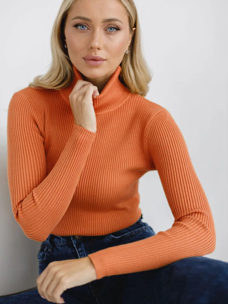 Bornladies Basic Turtleneck Women Sweaters Autumn Winter Tops