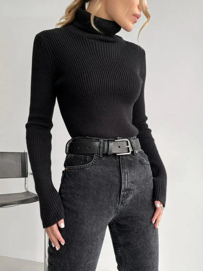 Bornladies Basic Turtleneck Women Sweaters Autumn Winter Tops