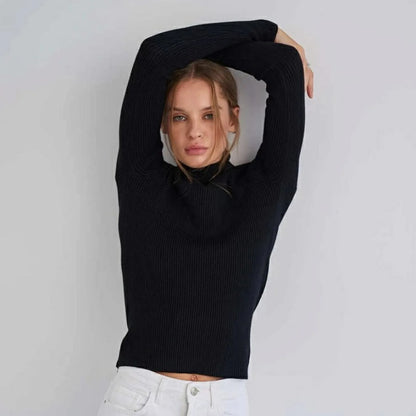 Women's Sweater Half High Neck Solid Slim Fit Pullover