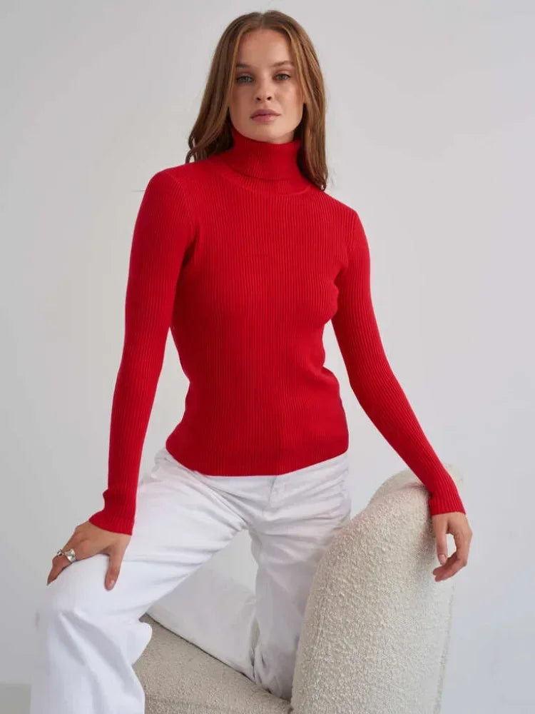 Bornladies Basic Turtleneck Women Sweaters Autumn Winter Tops