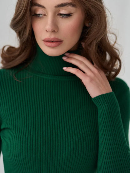 Bornladies Basic Turtleneck Women Sweaters Autumn Winter Tops