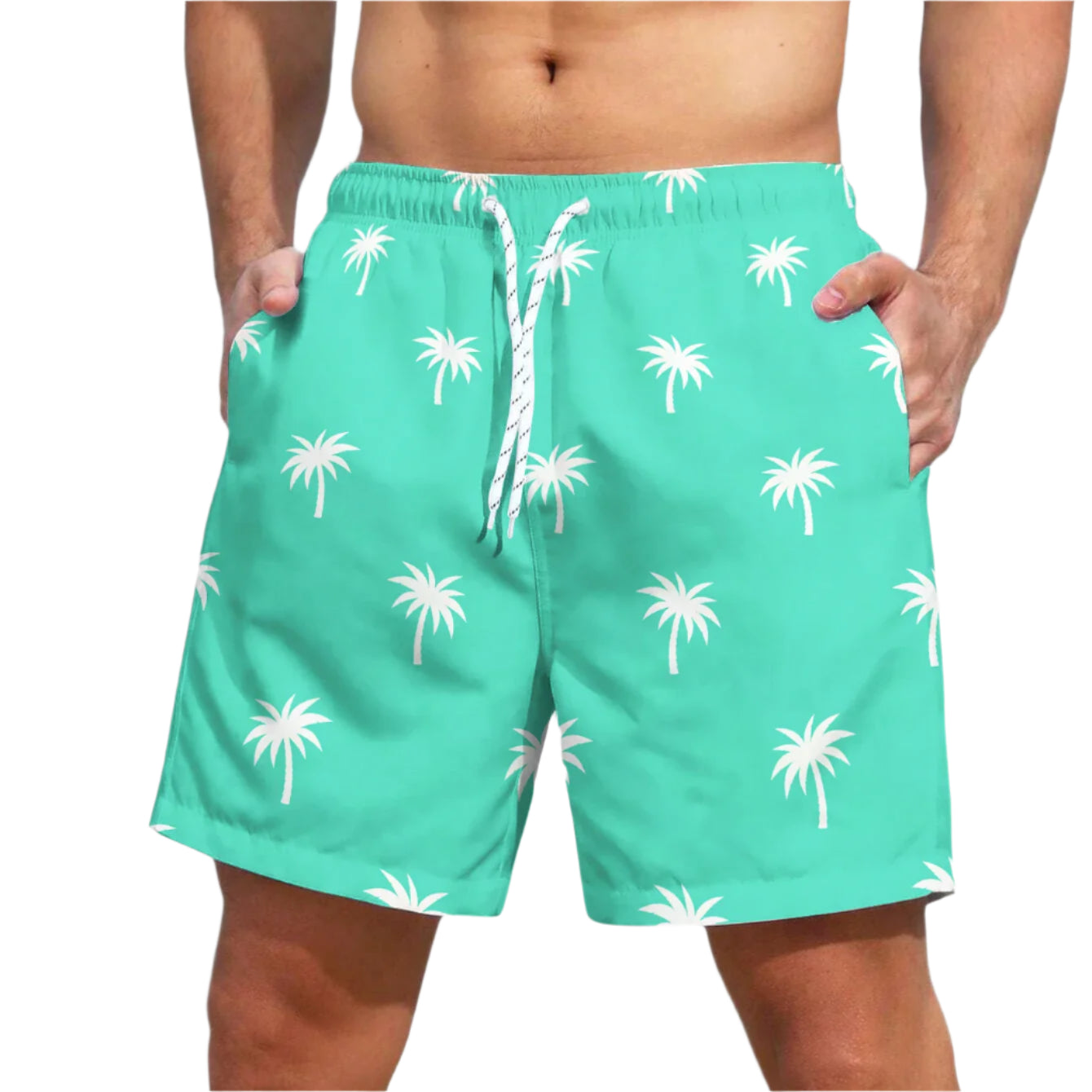 Men's Light Blue Palm Beach Shorts Quick Dry Casual Bottoms