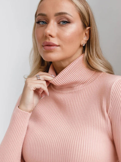 Bornladies Basic Turtleneck Women Sweaters Autumn Winter Tops