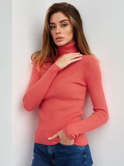 Bornladies Basic Turtleneck Women Sweaters Autumn Winter Tops