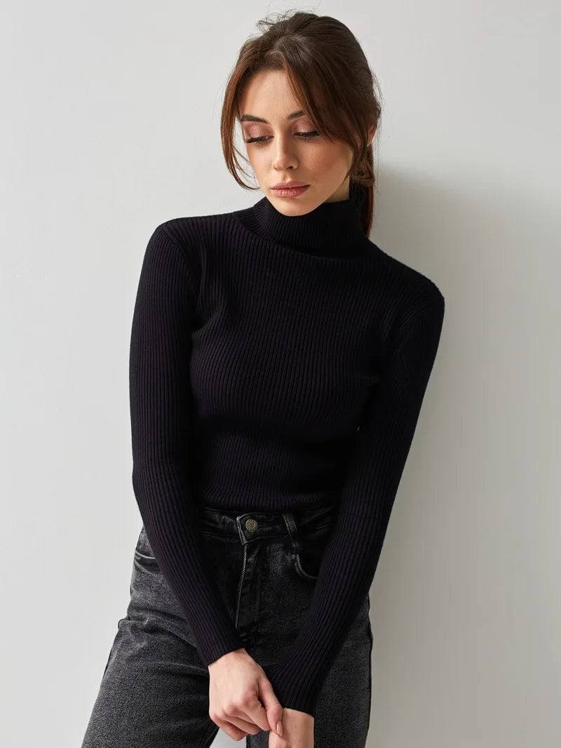 Bornladies Basic Turtleneck Women Sweaters Autumn Winter Tops