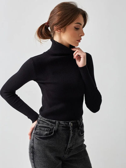 Bornladies Basic Turtleneck Women Sweaters Autumn Winter Tops