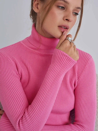 Bornladies Basic Turtleneck Women Sweaters Autumn Winter Tops